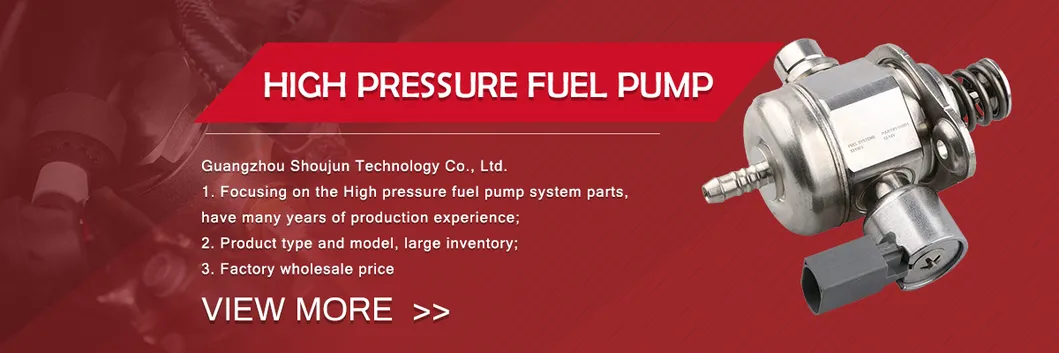 Auto and Truck Fuel Pump