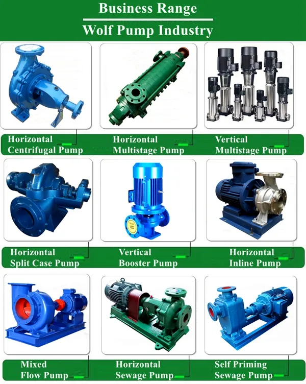 Factory Facility and Quality Testing 3