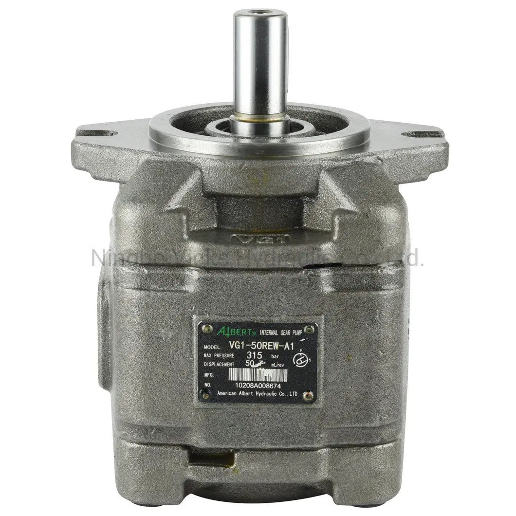 Gear Pump Detail 1