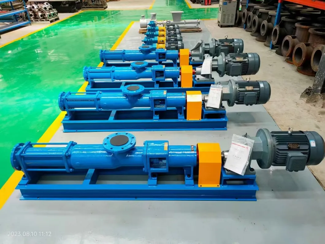 Detailed Screw Pump Photo 1