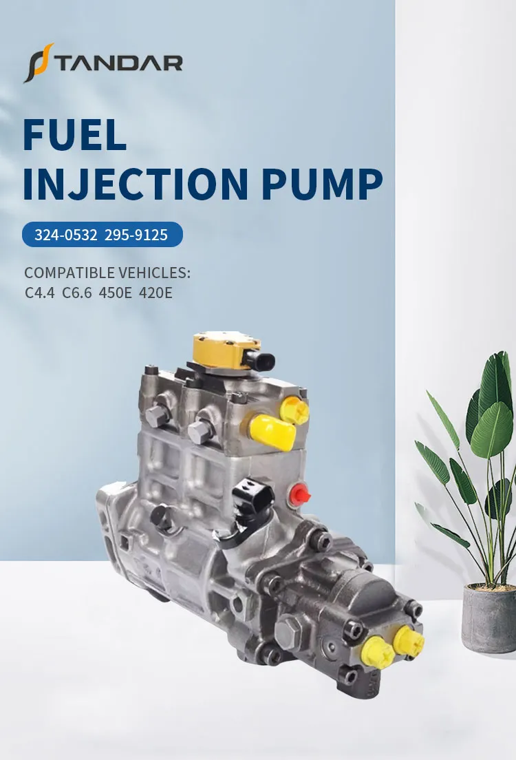 Fuel Injection Pump Detail 1