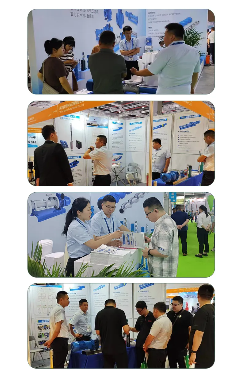 Exhibition Display
