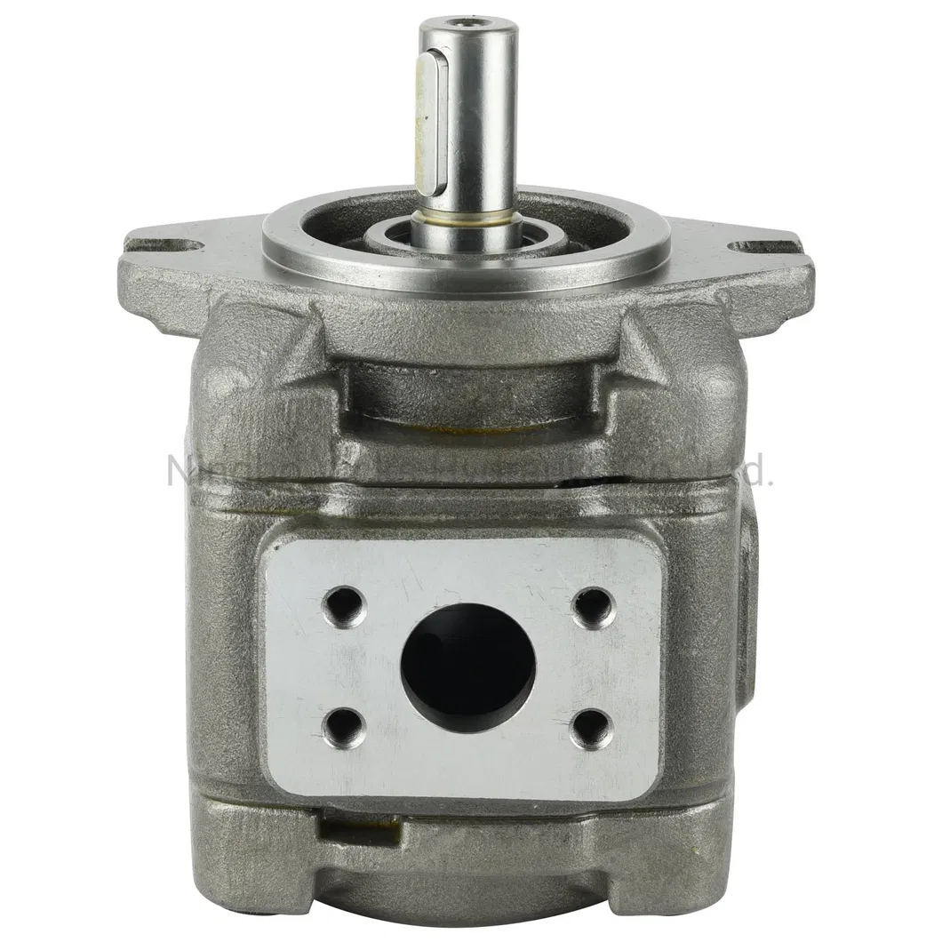 Gear Pump Detail 2