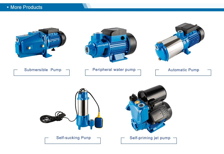 High Pressure Impeller Stable Output Injection Jet Electric Water Pumps (JETL) 750W