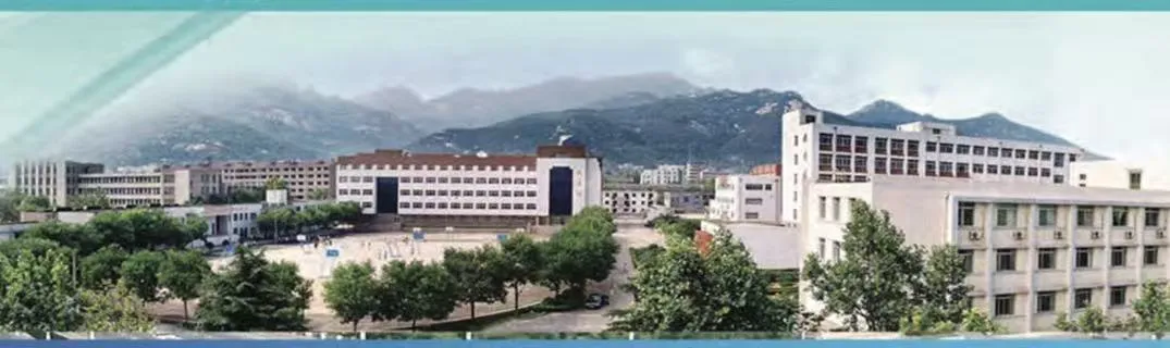 Industry Overview