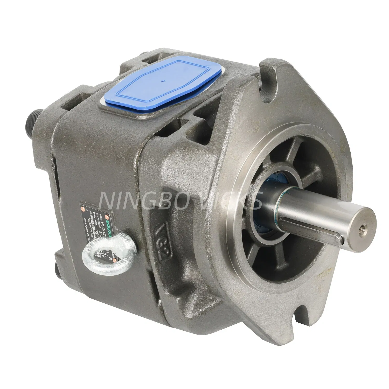 Rexroth Pgh Series Equivalent Low Speed High Pressure Internal Gear Pump for Injection Moulding Machine Servo Hydraulic System pH3, pH4, pH5,Vgh0, Vg0, Vg1, Vg2