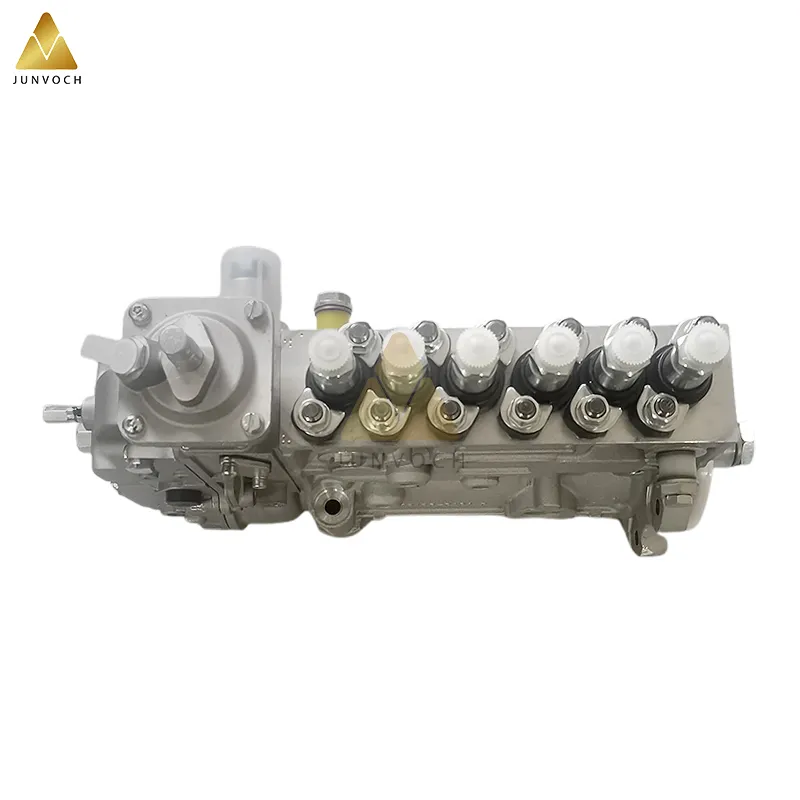 Fuel Injection Pump Detail 1