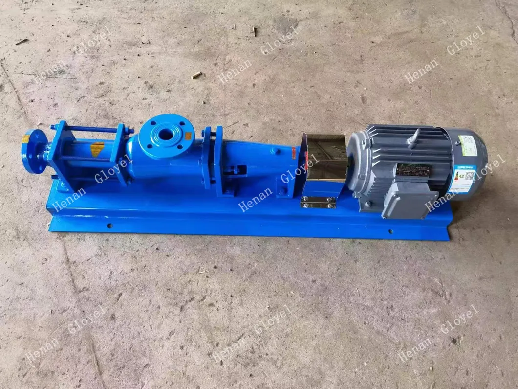 Screw Pump Side View