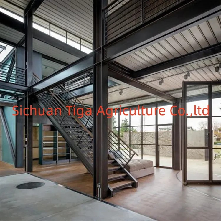 Edifícios de Apartamentos de Vários Andares e Edifícios Modulares de Aço de Alto Nível, Solário, Casas Acessíveis para Hotel, Escritório, Shopping Center, Galpão