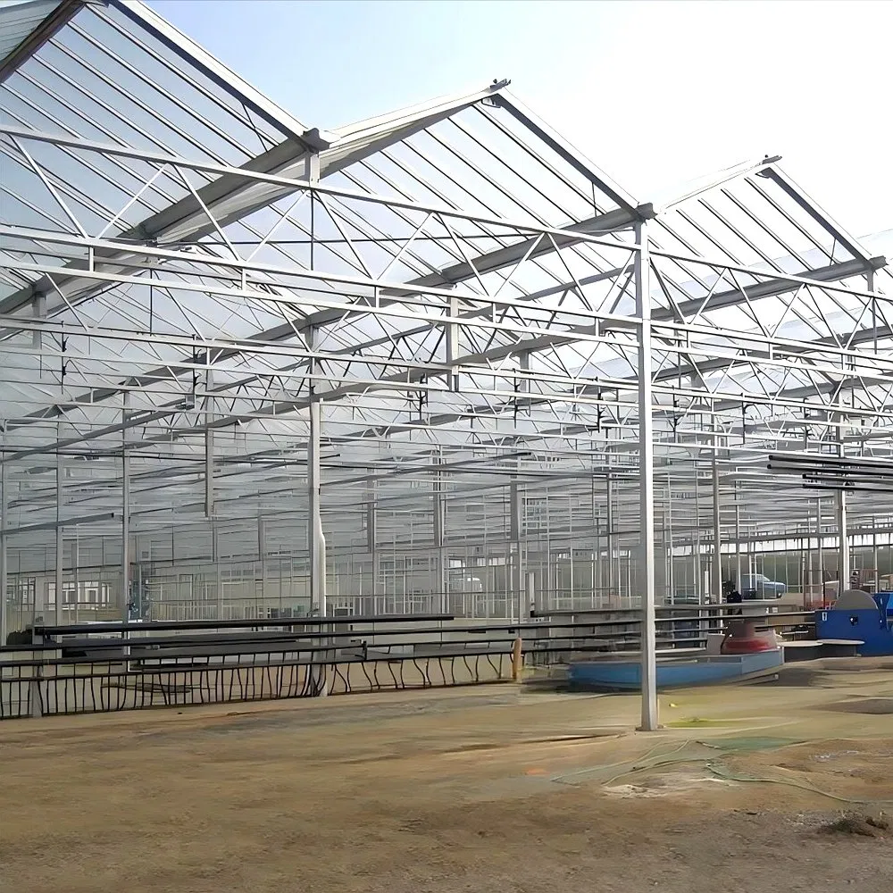 Estrutura de Estufa Agrícola Inteligente Modular de Aço Prefabricado para Agricultura Sustentável