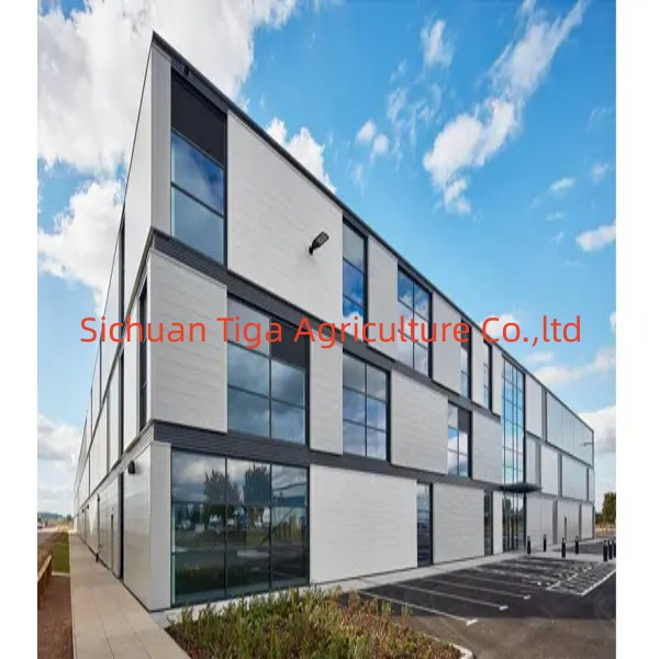 Edifícios de Apartamentos de Vários Andares e Edifícios Modulares de Aço de Alto Nível, Solário, Casas Acessíveis para Hotel, Escritório, Shopping Center, Galpão