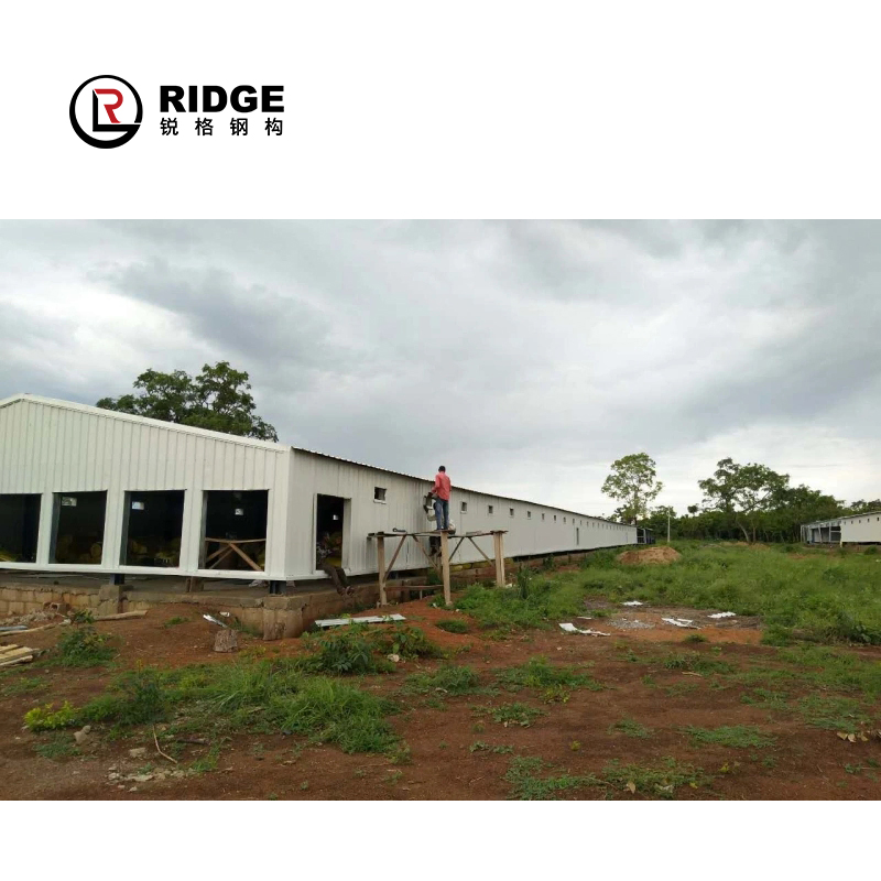 Edifício Comercial Portátil para Aves Arena Interna para Cavalos Galpões Prefabricados de Agricultura