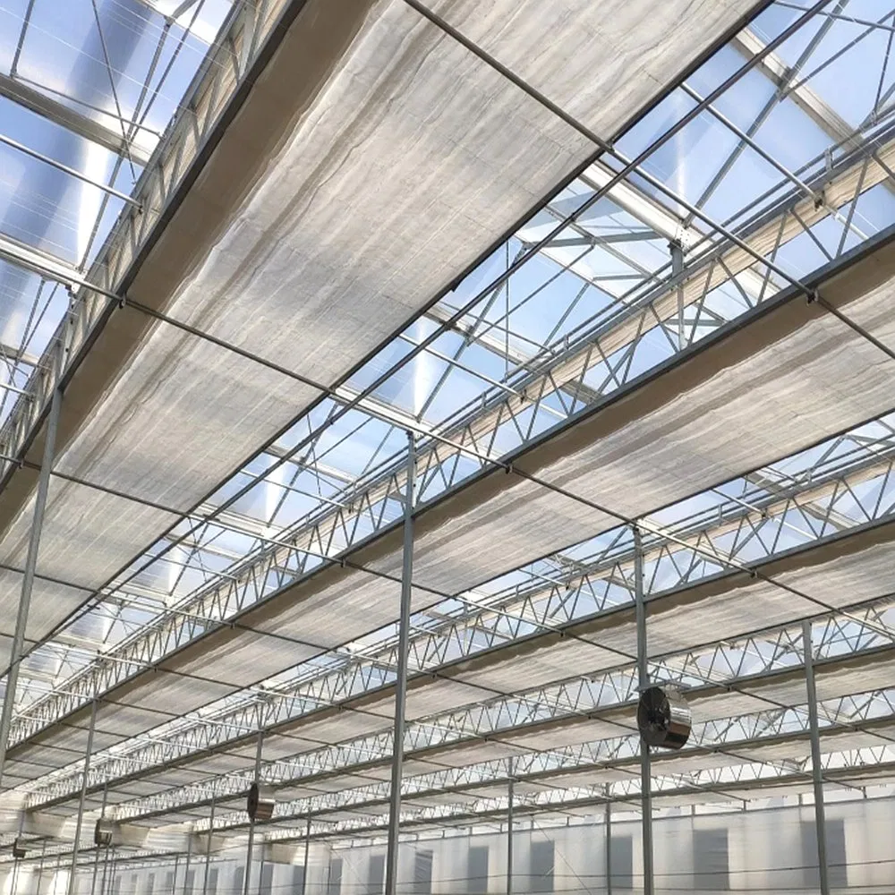 Estrutura de Aço Galvanizado a Quente Prefabricada para Estufas Agrícolas Modernas e Inteligentes