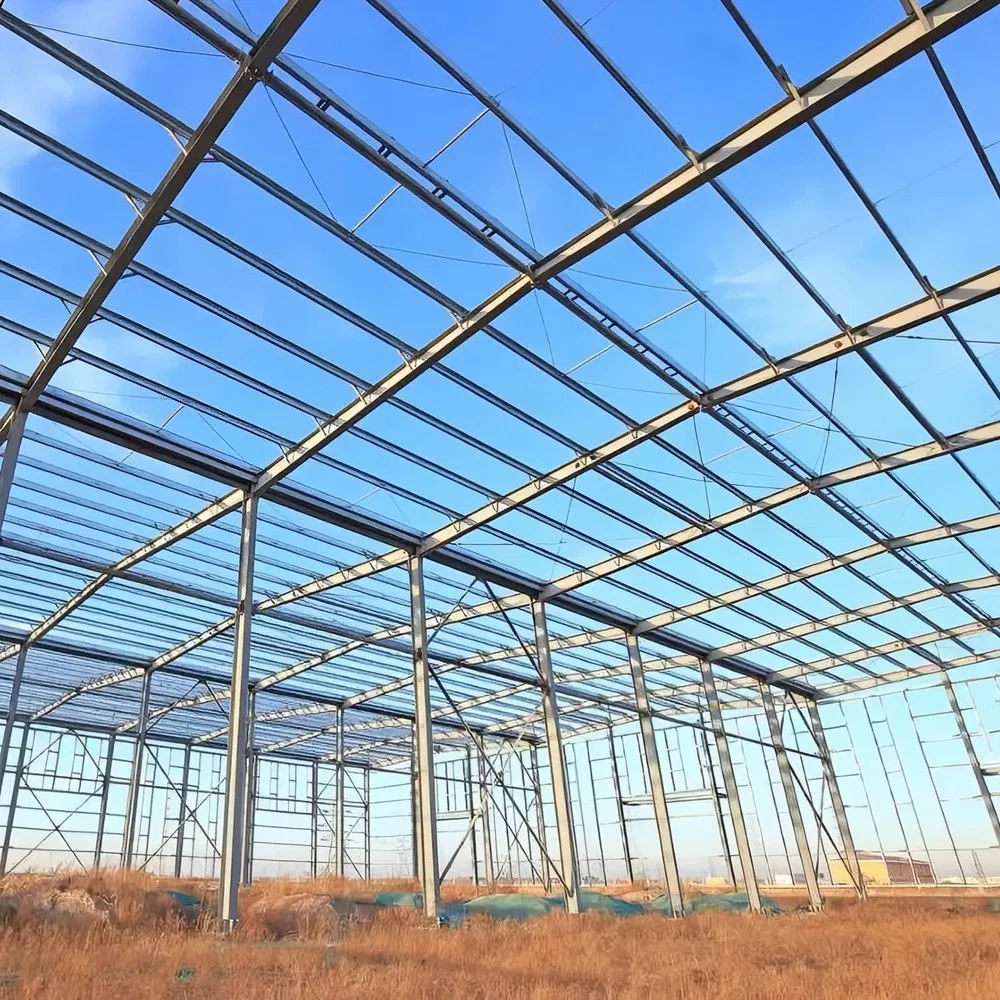 Estrutura de Estufa Agrícola Inteligente Modular de Aço Prefabricado para Agricultura Sustentável