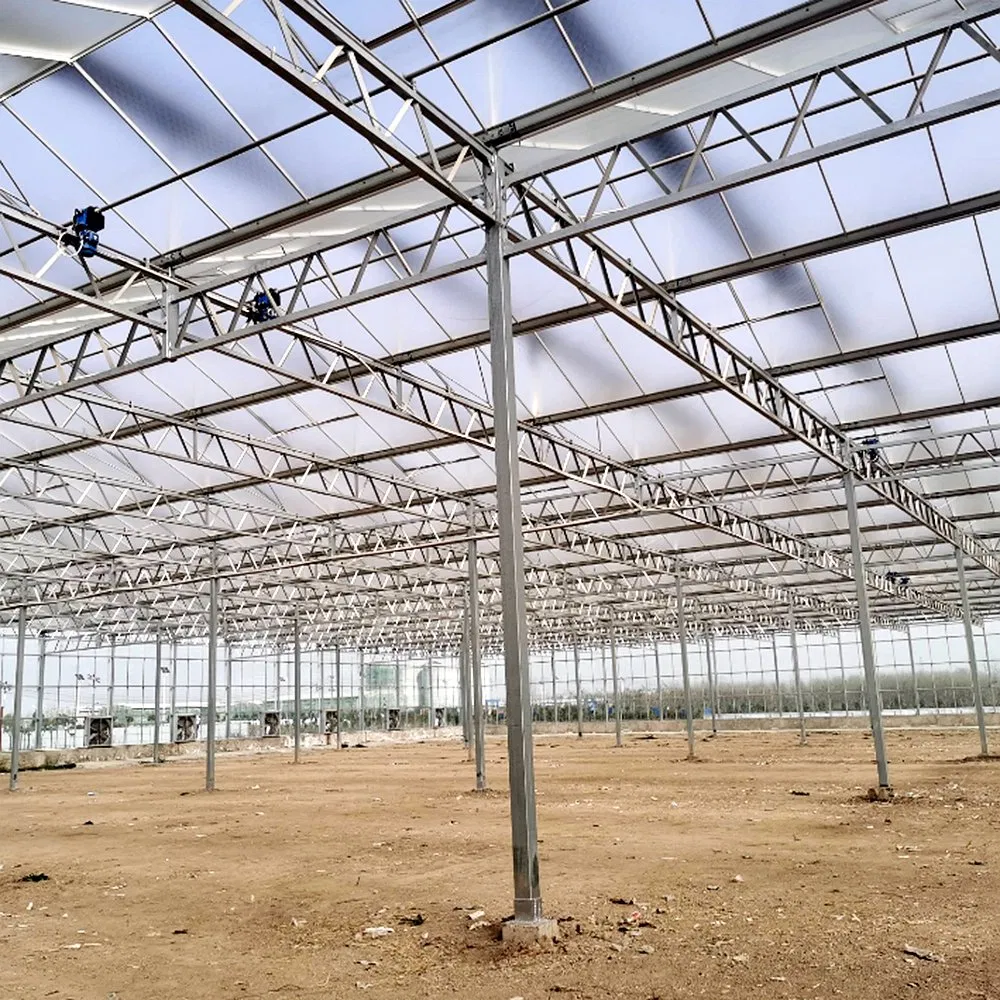 Estrutura de Aço Galvanizado a Quente Prefabricada para Estufas Agrícolas Modernas e Inteligentes