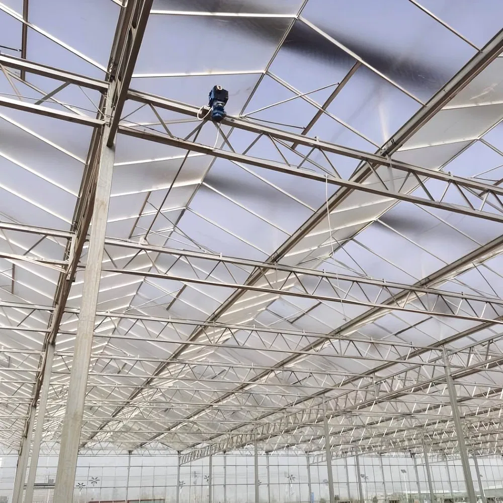 Estrutura de Aço Galvanizado a Quente Prefabricada para Estufas Agrícolas Modernas e Inteligentes