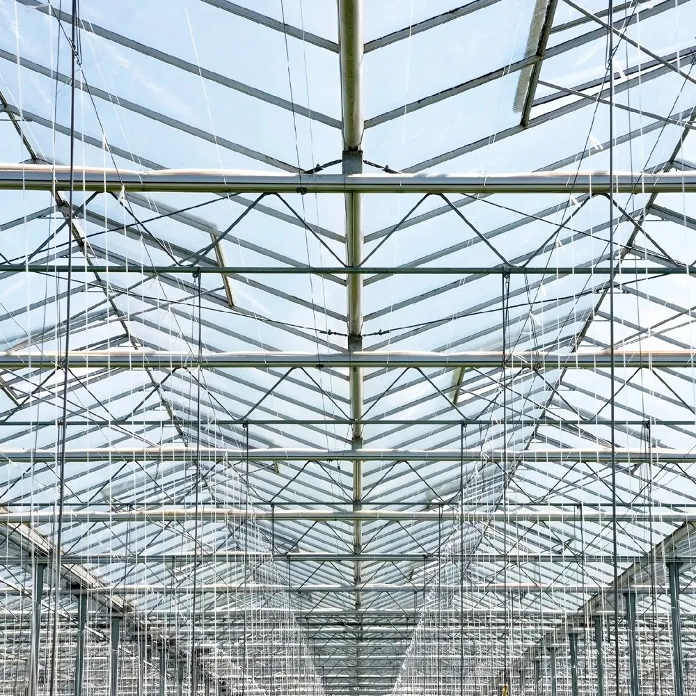 Estrutura de Estufa Agrícola Inteligente Modular de Aço Prefabricado para Agricultura Sustentável
