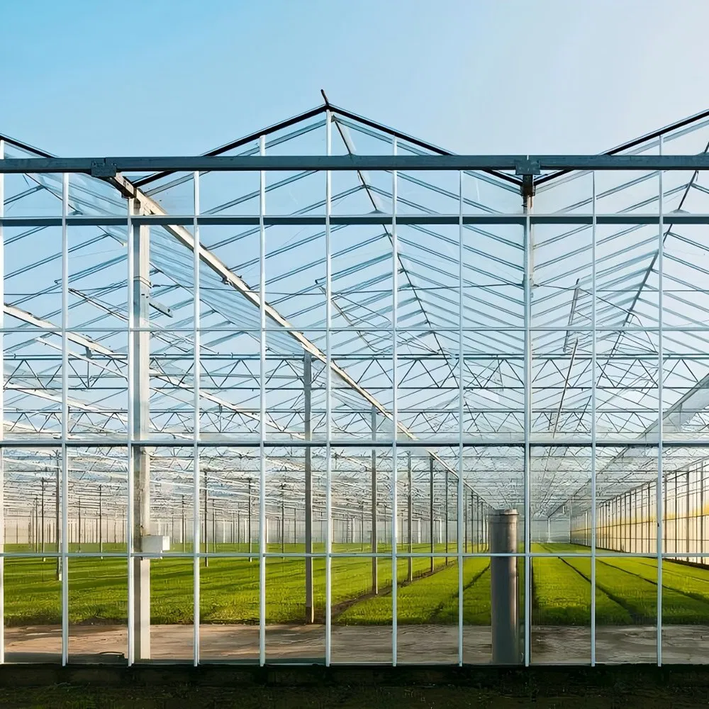 Estrutura de Aço Galvanizado a Quente Prefabricada para Estufas Agrícolas Modernas e Inteligentes