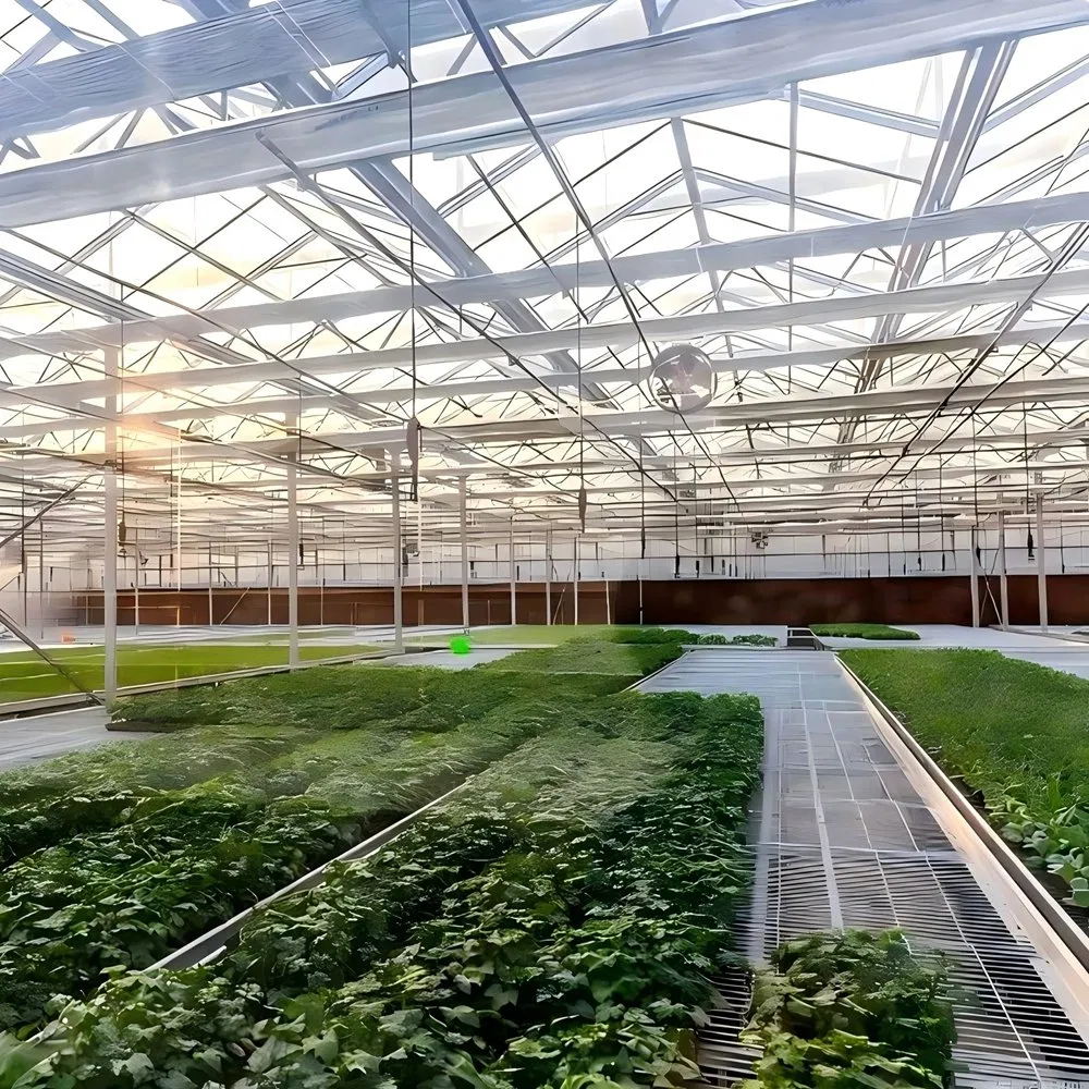 Estrutura de Aço Galvanizado a Quente Prefabricada para Estufas Agrícolas Modernas e Inteligentes