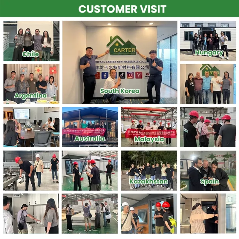 Visitas de clientes