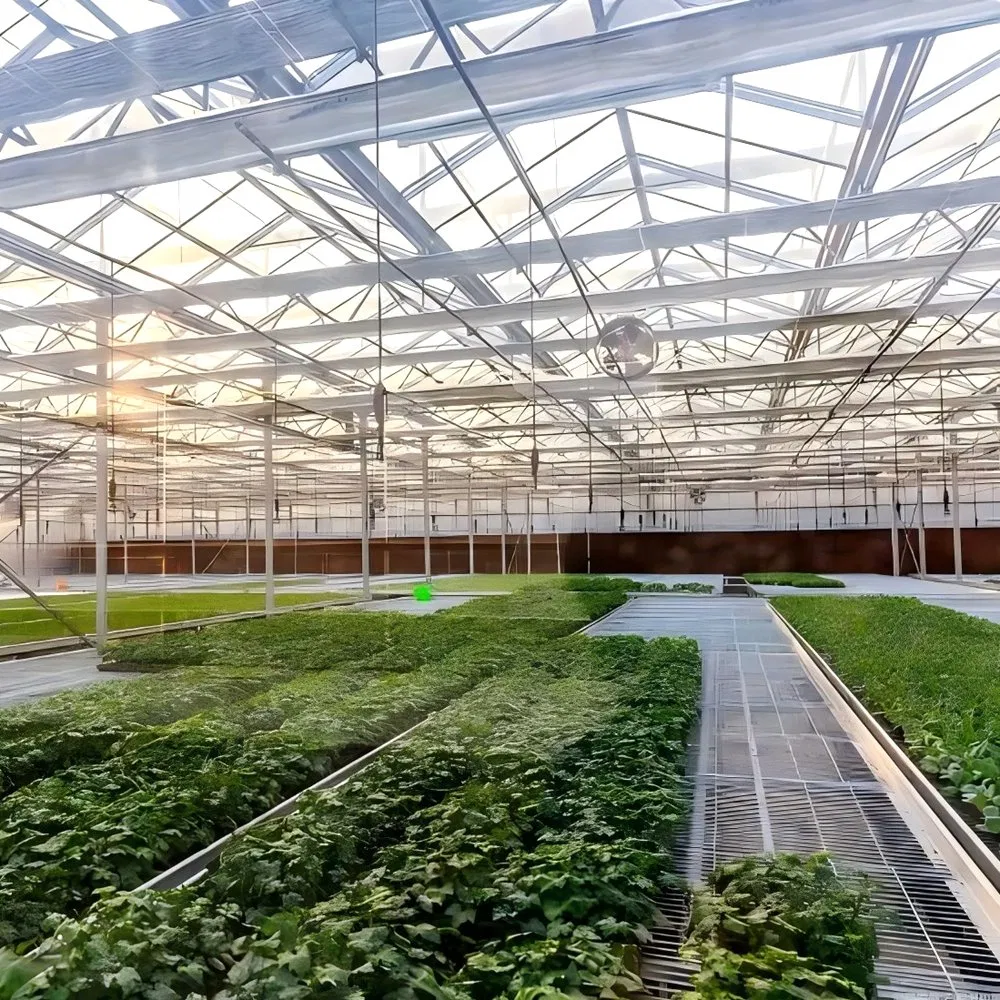 Estrutura de Estufa Agrícola Inteligente Modular de Aço Prefabricado para Agricultura Sustentável
