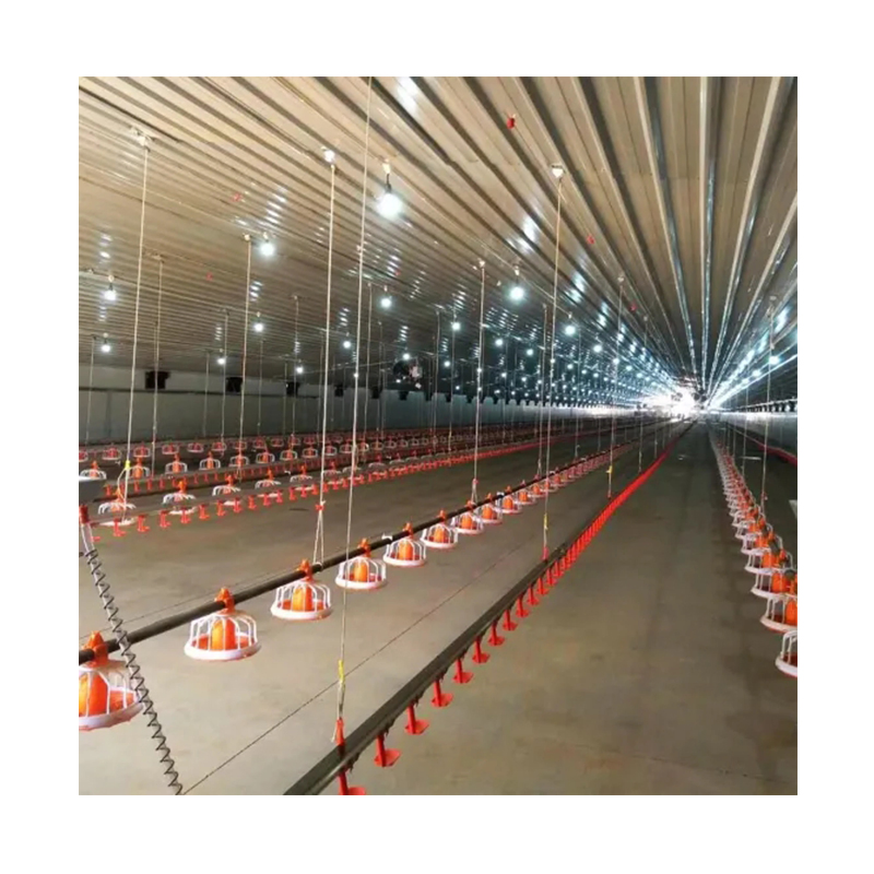 Edifício Comercial Portátil para Aves Arena Interna para Cavalos Galpões Prefabricados de Agricultura
