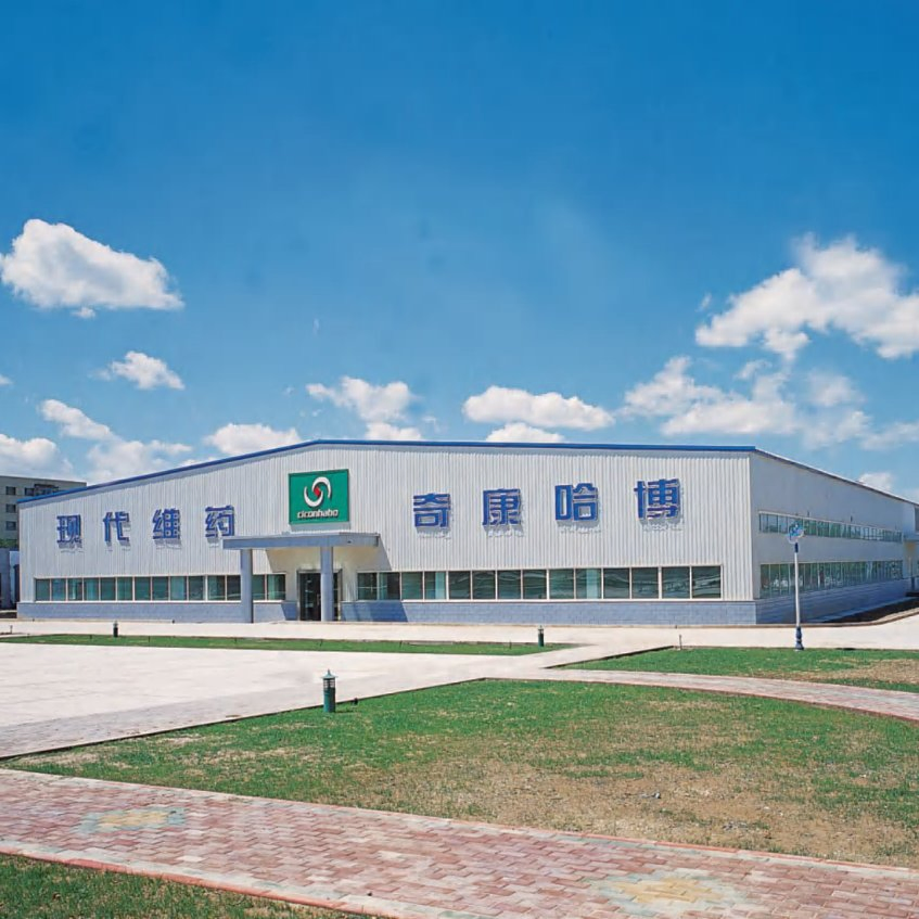 Estruturas de Aço Industriais Prefabricadas Personalizadas de Alta Resistência e Custo Eficiente para Armazéns Comerciais, Fábricas, Garagens, Vilas e Galpões