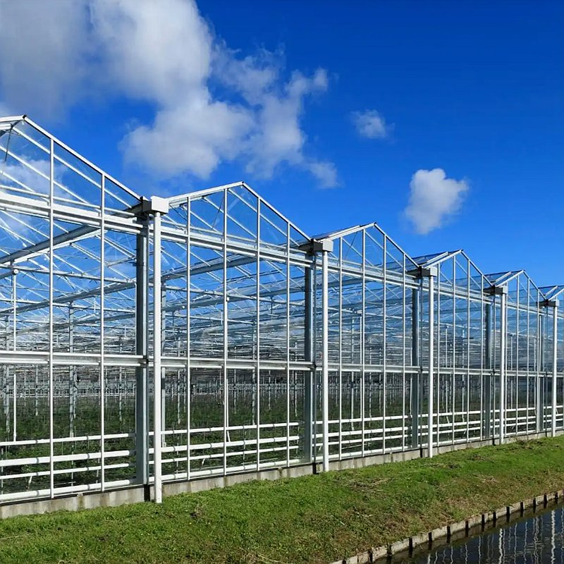 Estrutura de Estufa Agrícola Inteligente Modular de Aço Prefabricado para Agricultura Sustentável