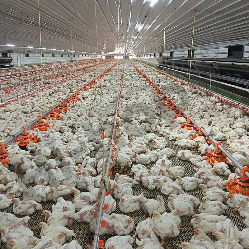 Sistema de Fazenda 1