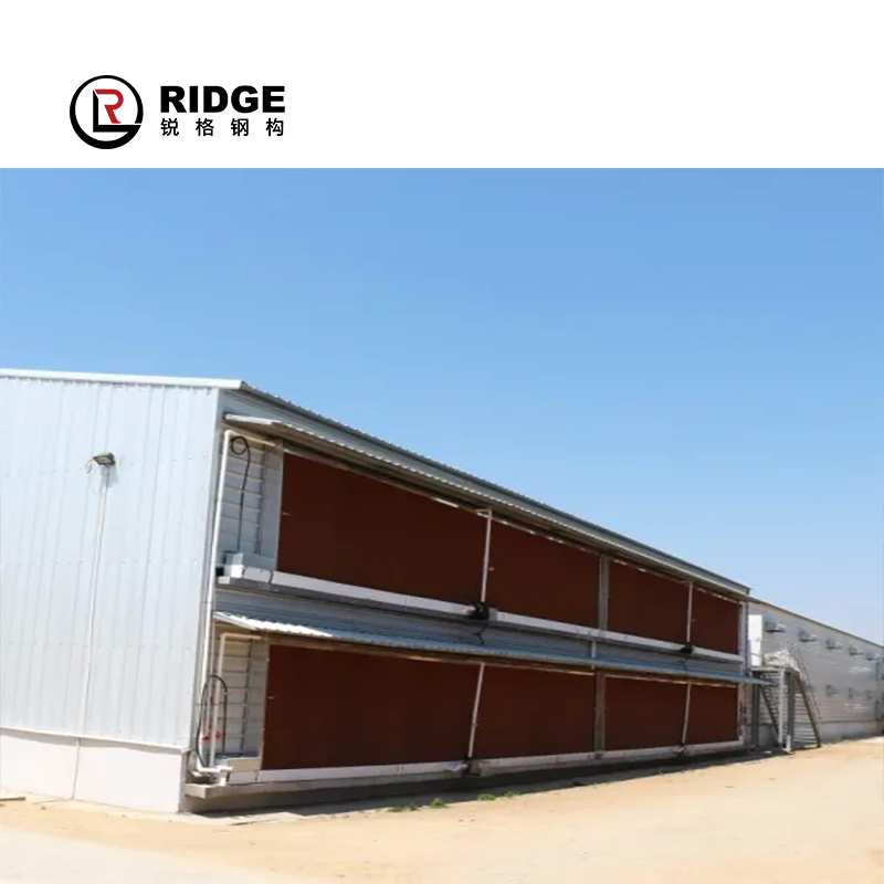Edifício Comercial Portátil para Aves Arena Interna para Cavalos Galpões Prefabricados de Agricultura