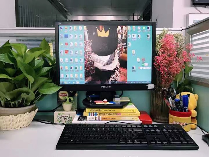 Company Showcase 1