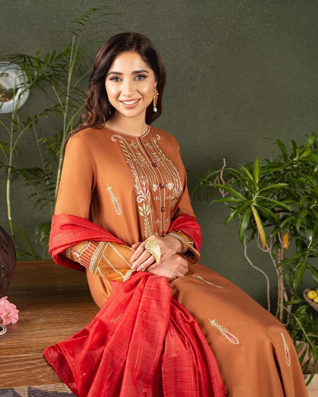 Hot Selling Modest Wedding Dress in Wonderful Colors New Silk Suit for Pakistani &amp; Indian Ladies for Summer &amp; Winter Parties