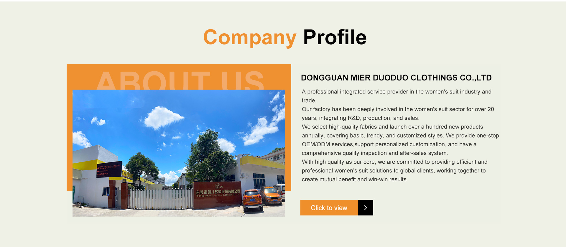 Company Profile Overview