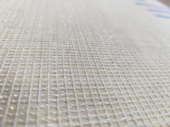 Carpet Bottom Detail