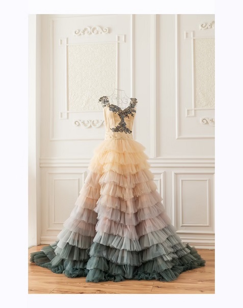 Ombre Wedding Colorful Wedding Dress for Women Engagement Photoshoot Dress Wedding Evening Gown Photography Women Dress