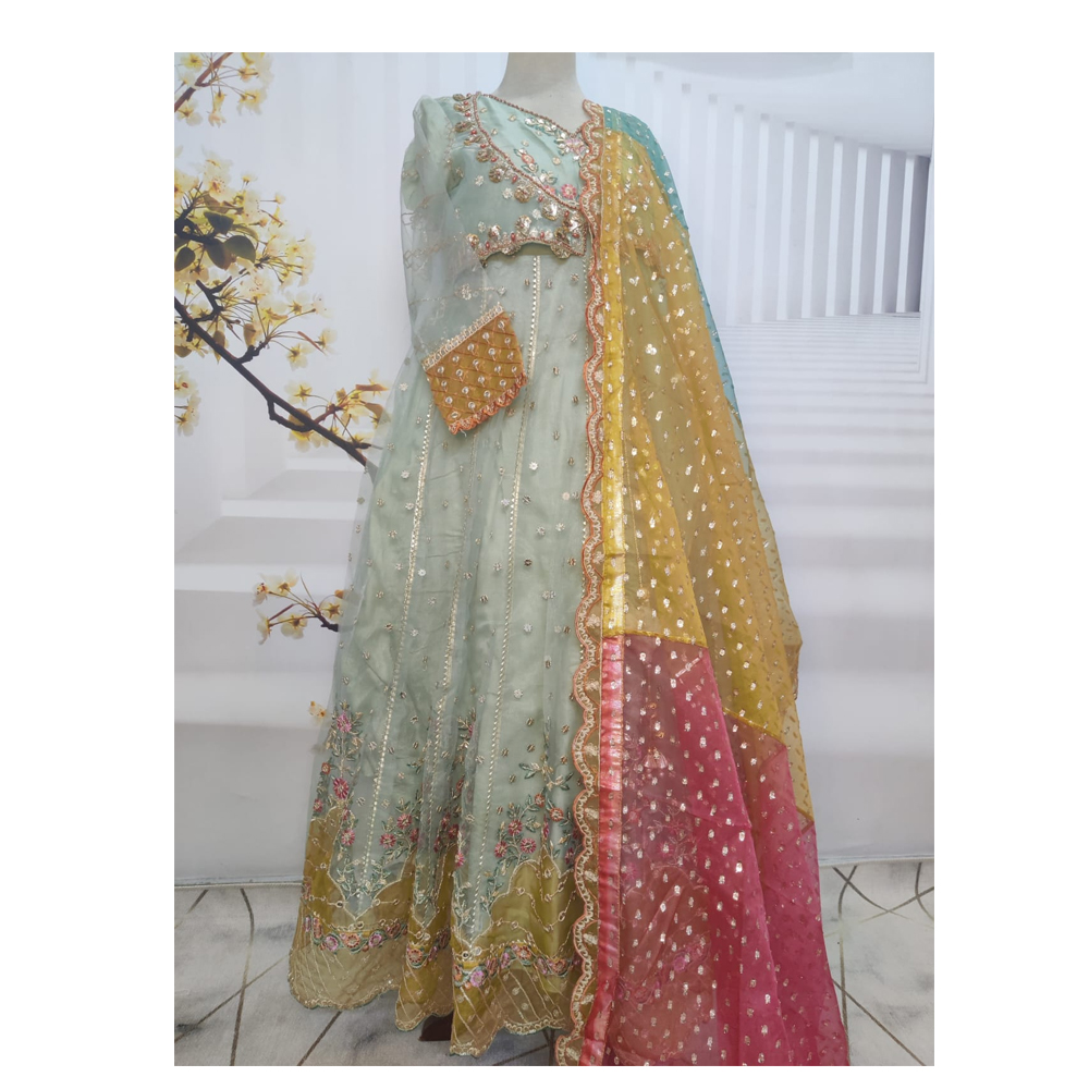 Luxury Pakistani Party Wear Dress for Women Embroidered Chiffon Formal Outfit Designer Indian Frocks for Party