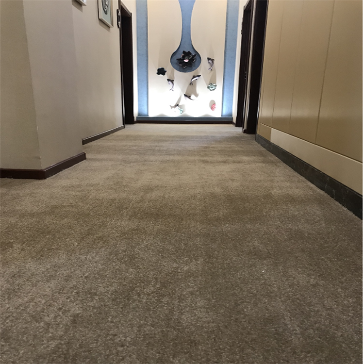 Carpet Sample 1