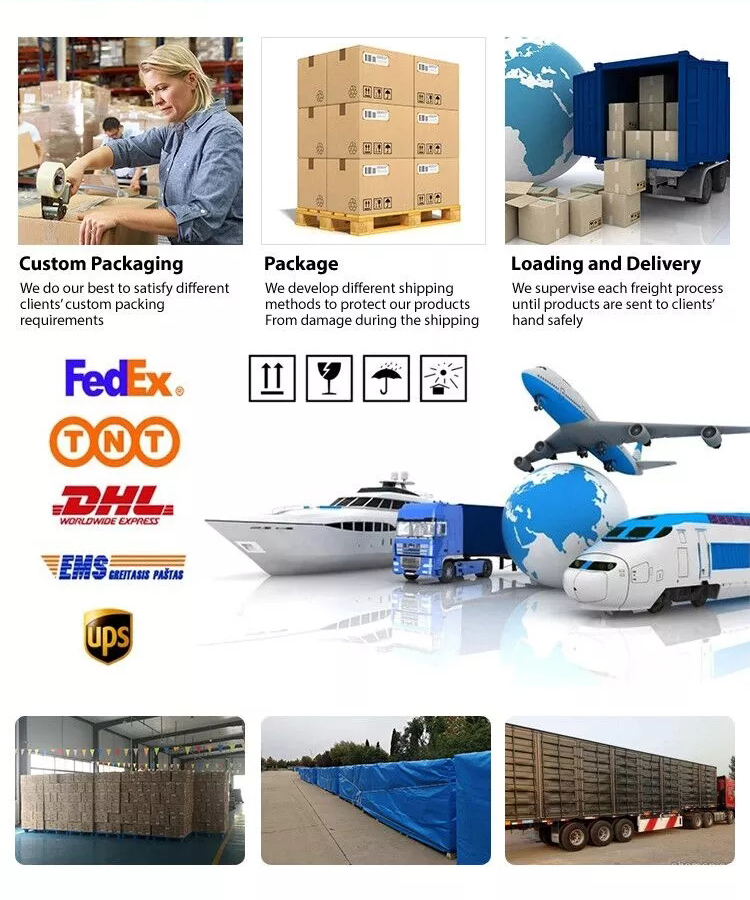 Shipping and Logistics