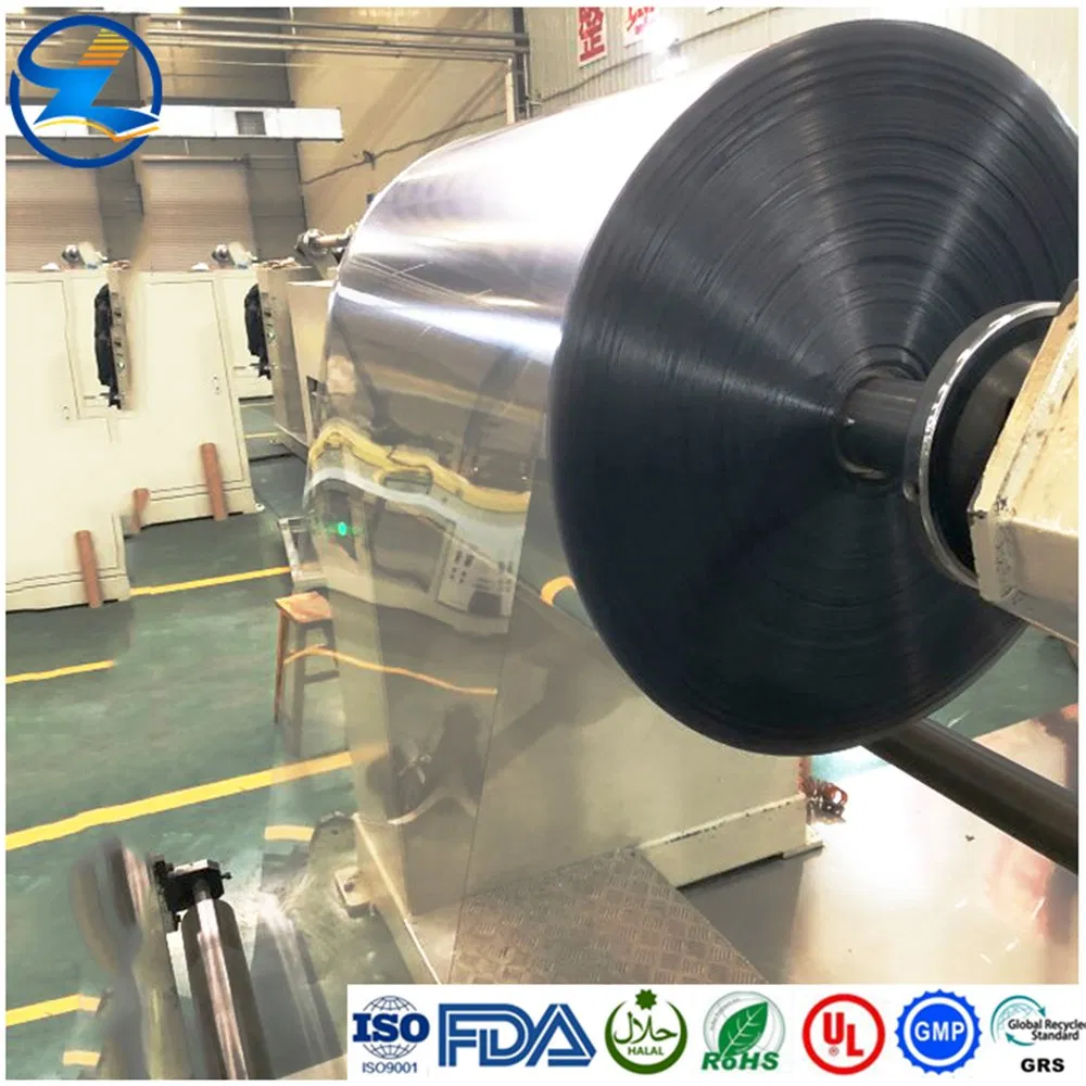 China Supplier Plastic Clear Pet APET RPET PETG Gag Sheet Biodegradable for Food Container