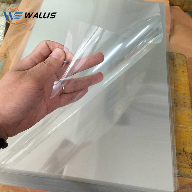 Degradable Materials Eco-Friendly PLA/RPET/Rpvc 0.19mm 0.25mm Customised Thickness Sheets/Rolls