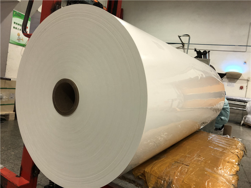 White Polyester Shrink Film /PETG White Heat Shrink Film for Shrink Labels of Dairy Products/Yogurt Cups