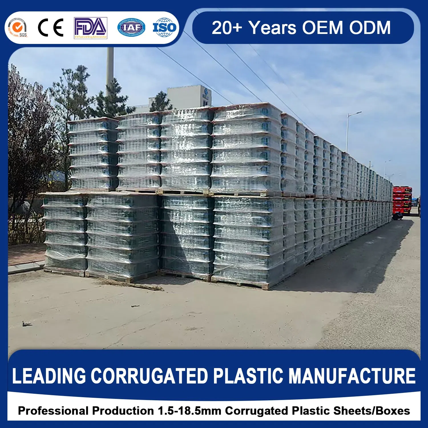 Rich-Colors Black/White/Red Easy Finishing Rot Resistant Shock-Proof 2-20mm Semi-Transparent Pet Anti-Static Cardboard Sheets for Layer Pads Partition