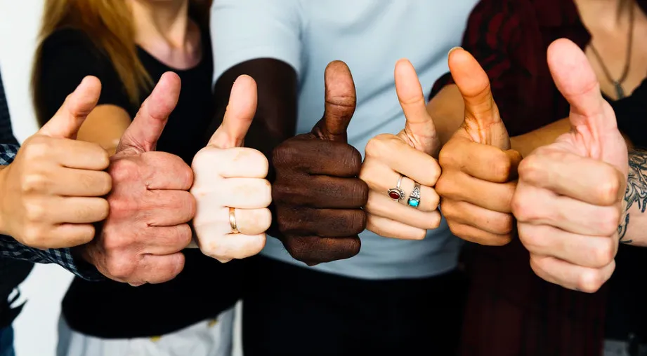 Professional Service