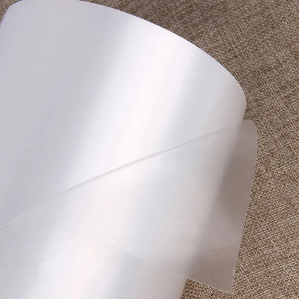 Various Customizable PP Sheets for High Clarity Food Grade Packaging Film