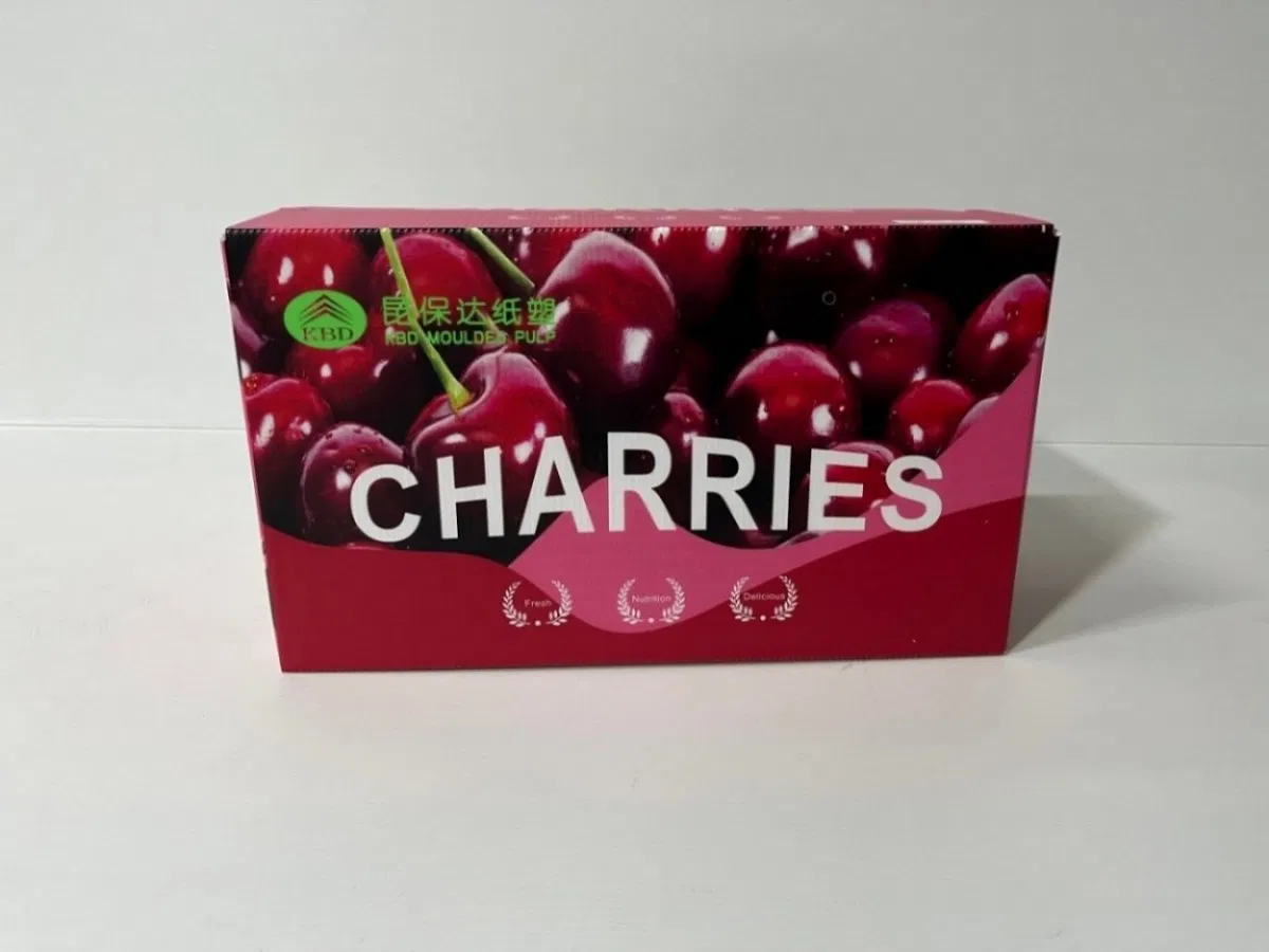 High Density Hermetic Flexible PP Corrugated Sheet for Promotion &amp; Display