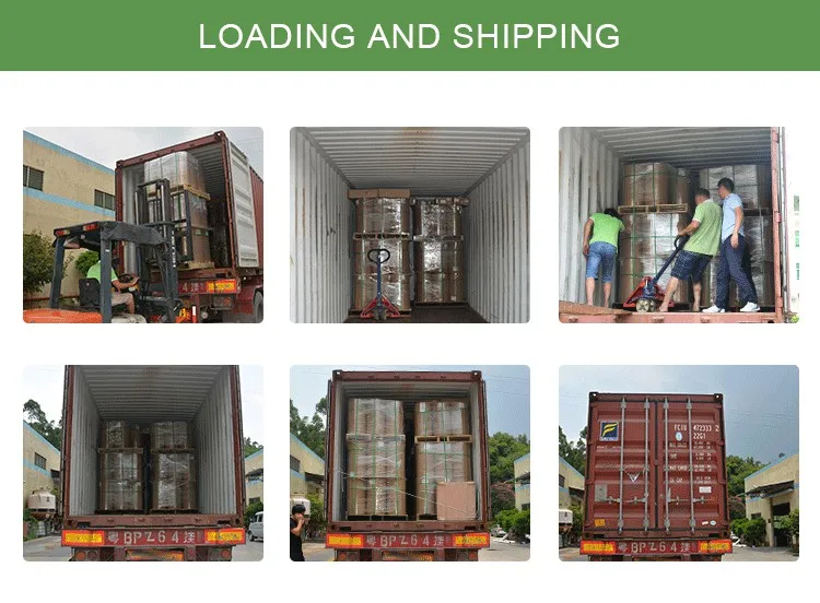 Shipping Logistics