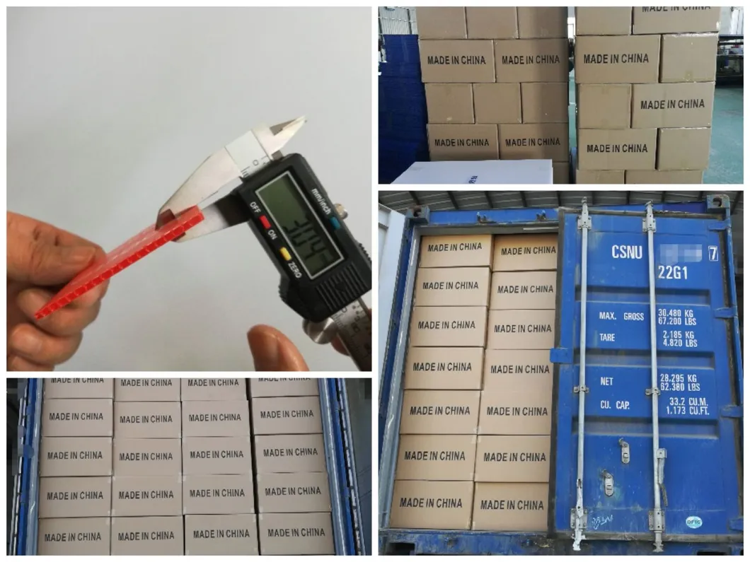 Packaging and Shipping Process