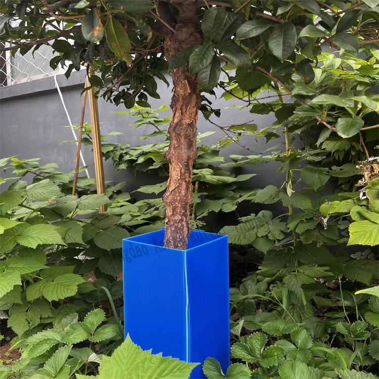 Tree Guards Vine Protection PP Polypropylene Corrugated Plastic Sheet