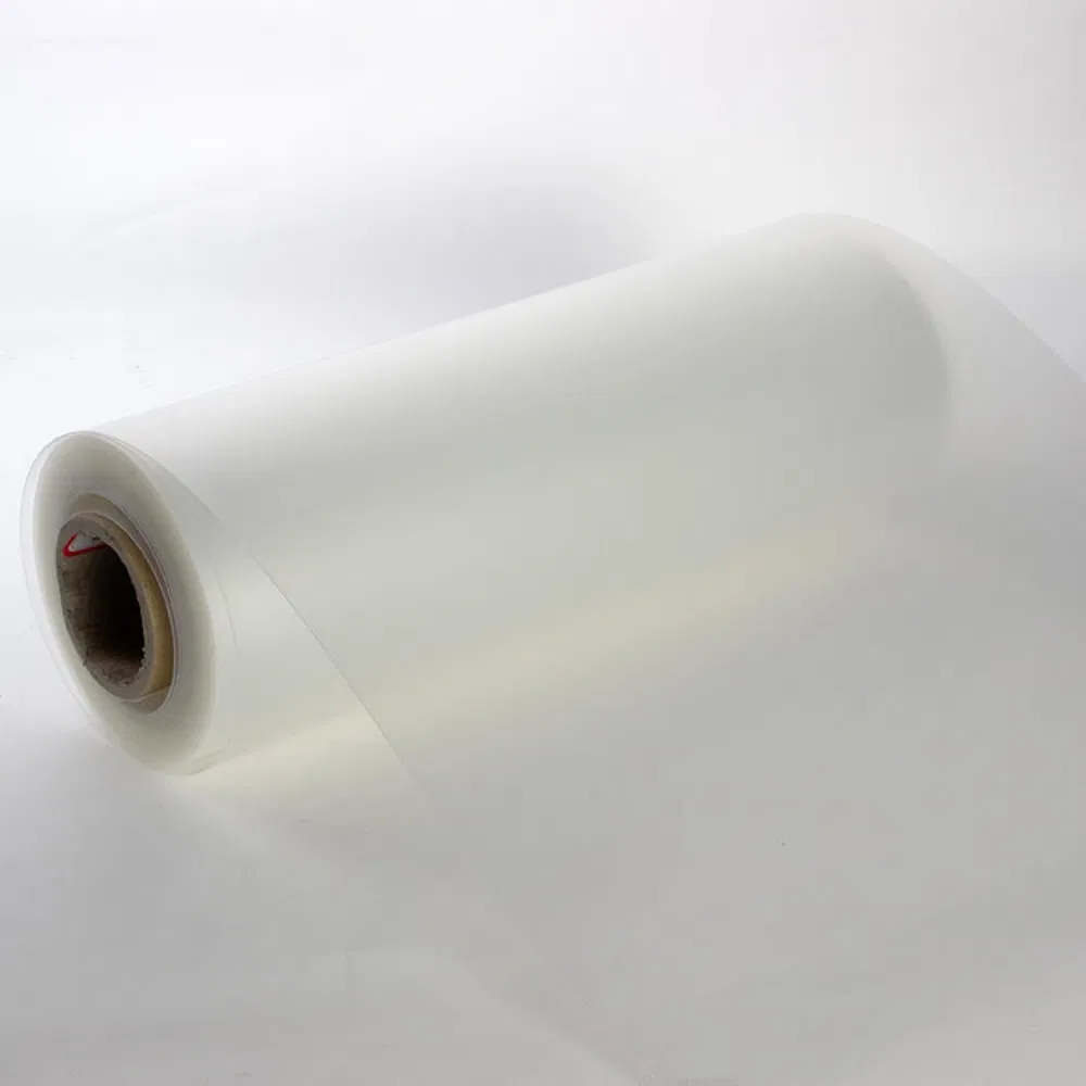 Eco-Friendly High Clarity PP Packaging Sheets for Food Safety