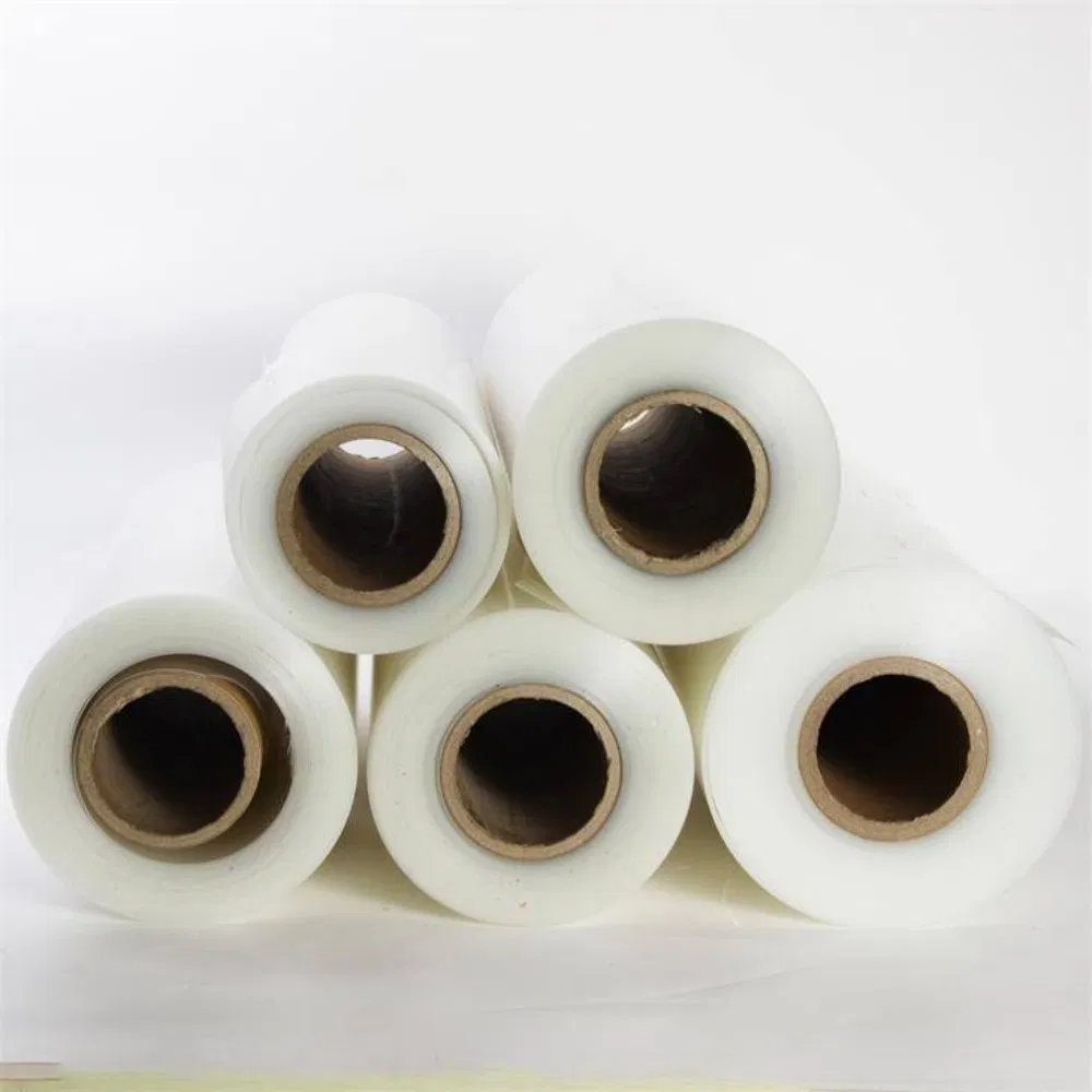 Eco-Friendly High Clarity PP Packaging Sheets for Food Safety